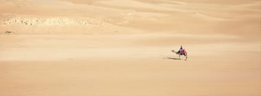 Lesung und Musik: Im Bann der Wüste