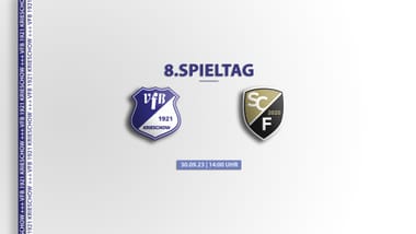 8. Spieltag VfB Krieschow - SC Freital