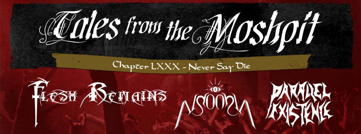 TALES FROM THE MOSHPIT - CHAPTER LXXX - Never Say Die