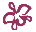 SOCIEDAD COLOMBIANA DE ORQUIDEOLOGIA
