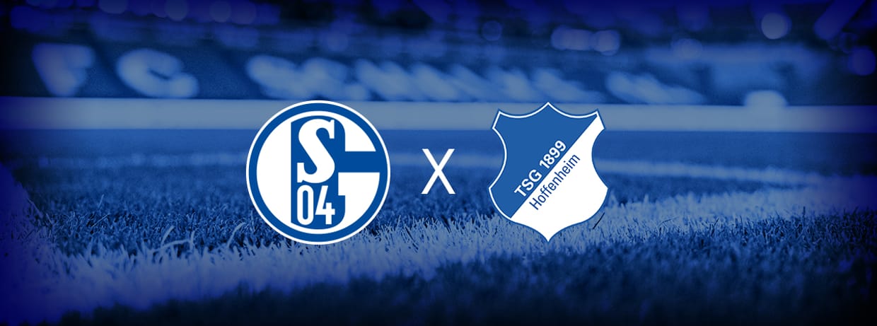 FC Schalke 04 - TSG 1899 Hoffenheim