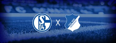 FC Schalke 04 - TSG 1899 Hoffenheim