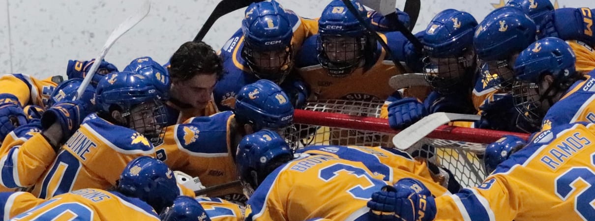 Lake Superior State University Athletics